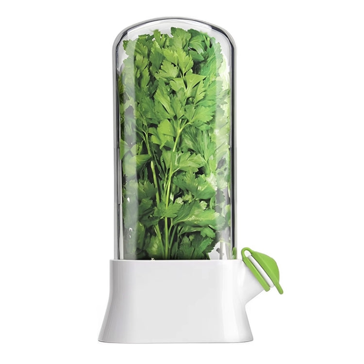 Creative Herb Crisper Cilantro Preservation Box Vegetable Keep Fresh Container