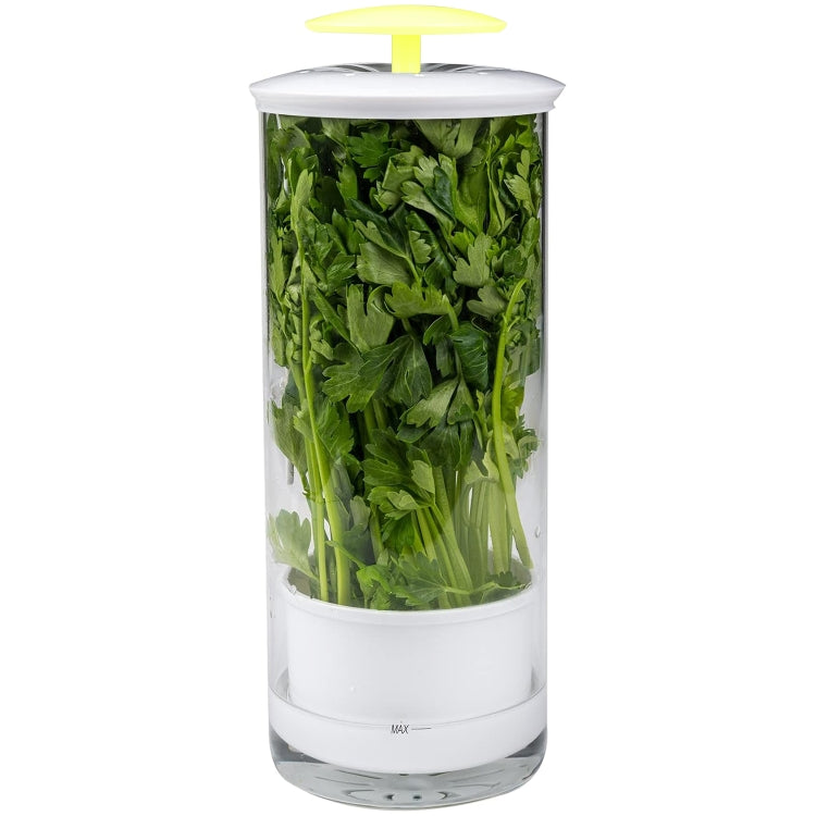 Herb Cilantro Preservation Storage Box Vegetable Keep Fresh Container