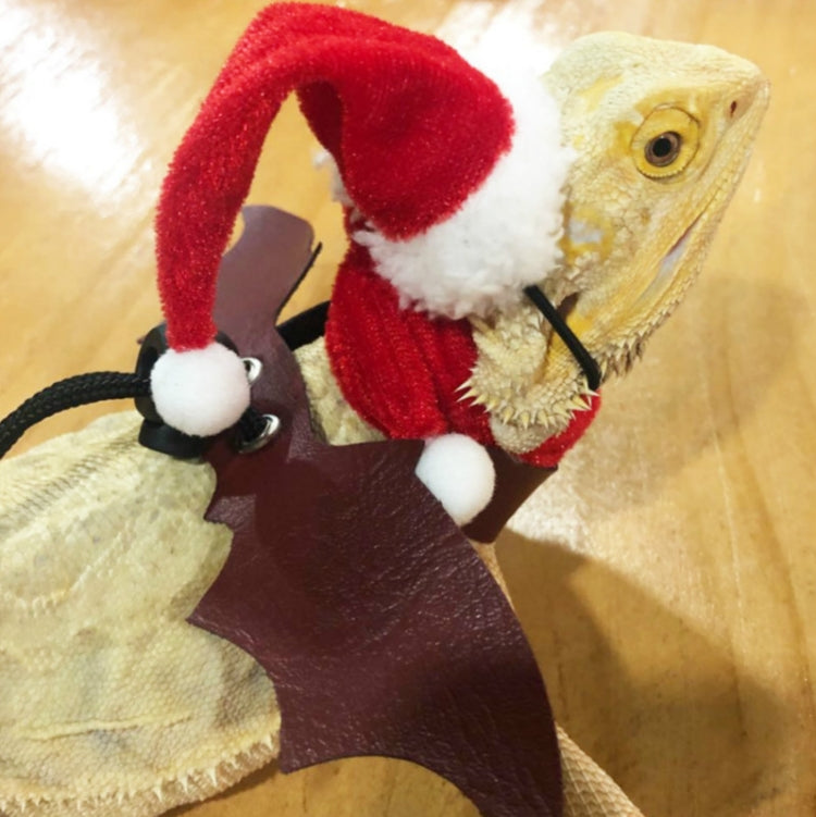 Lizard Crawling Pet Out Christmas Dress Up