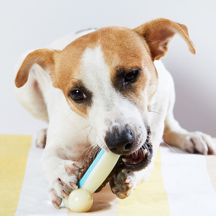 Dog Bite Resistant Molar Toy Nylon Bite Replacement Food Device