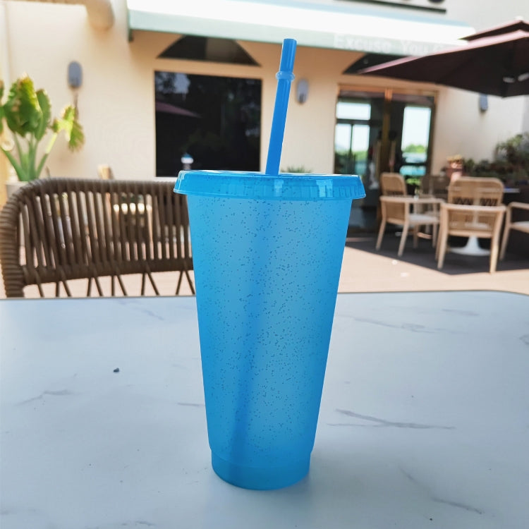 Summer Glitter Water Cup Plastic Ice Cold Drink Bottle with Straw
