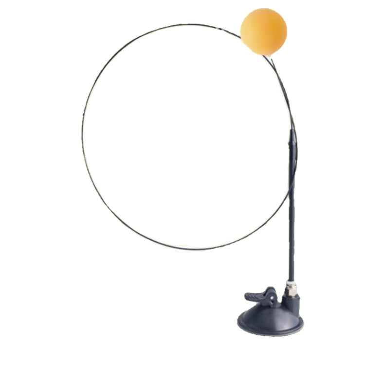 Suction Cup Funny Cat Wand Toy Cat Playing Pole