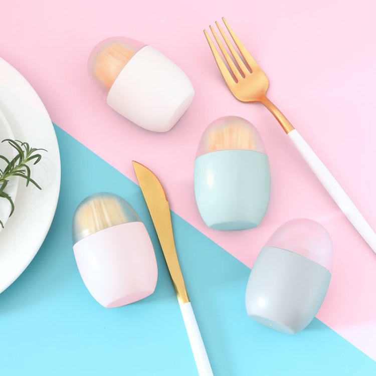 Household Living Room Egg Shape Magnetic Suction Toothpick Box Refrigerator Magnetite Toothpick Holder Random Color Delivery