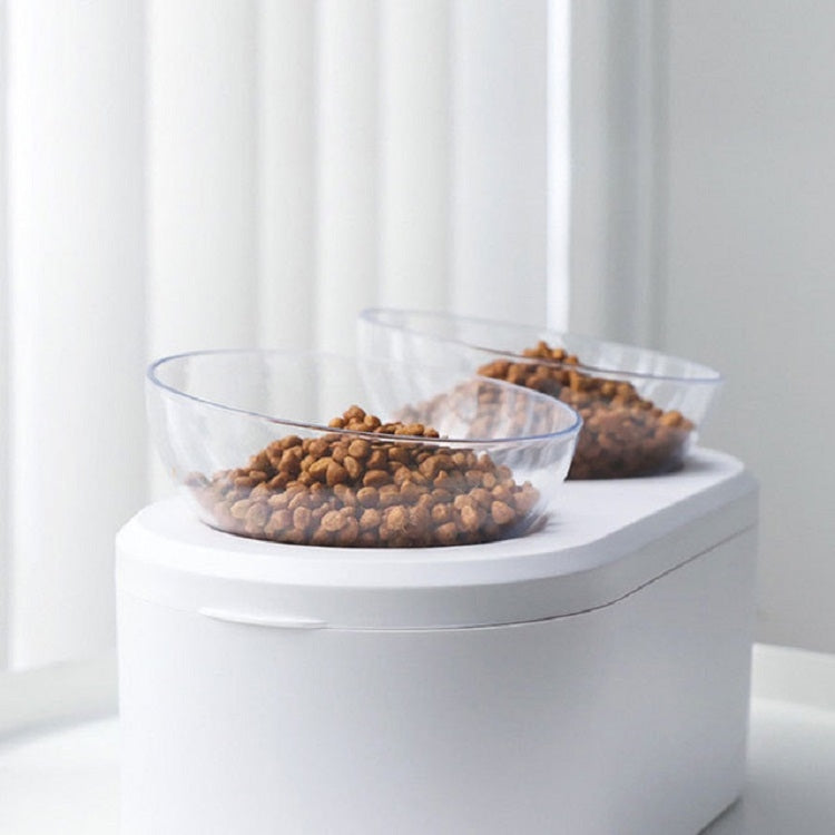 Transparent Pet Bowl Grain Storage Type Neck Protector Oblique Double Bowl