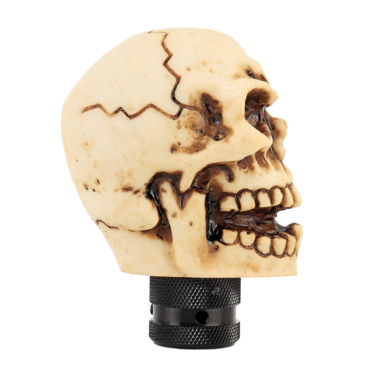 Skull-Shaped Gear Shift Knob for a Stylish Drive