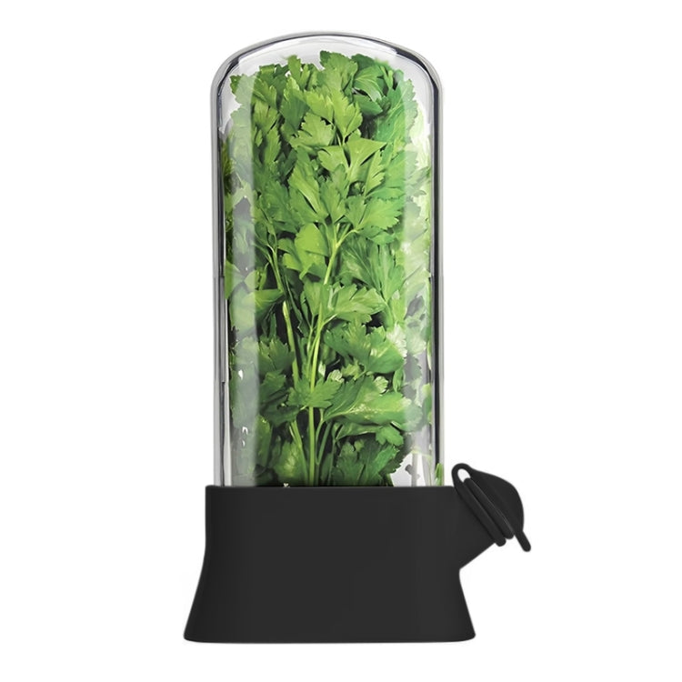 Creative Herb Crisper Cilantro Preservation Box Vegetable Keep Fresh Container