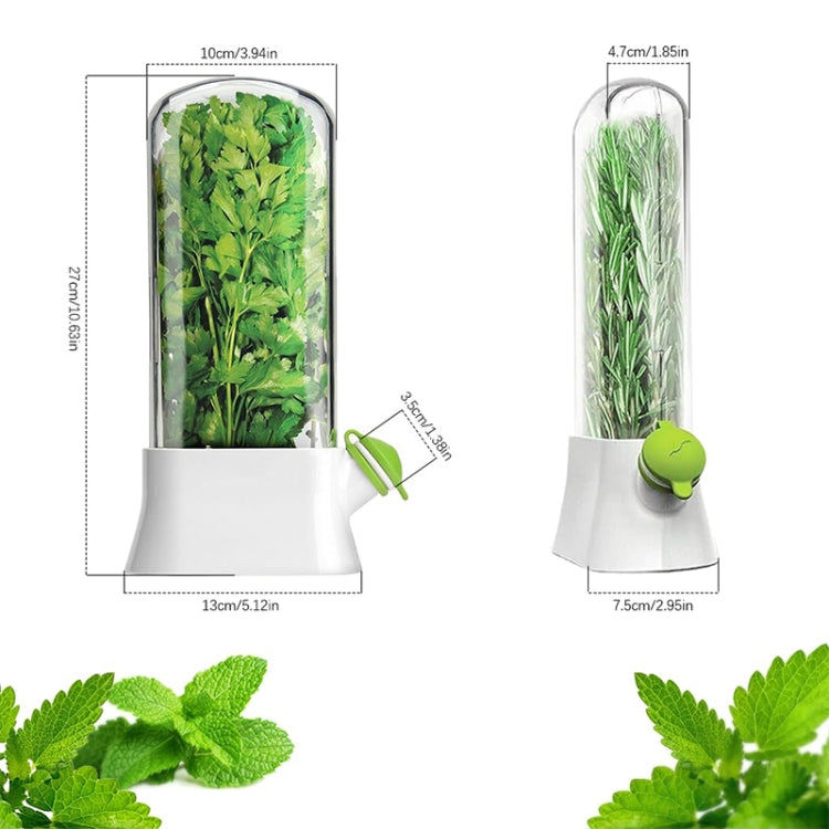 Creative Herb Crisper Cilantro Preservation Box Vegetable Keep Fresh Container