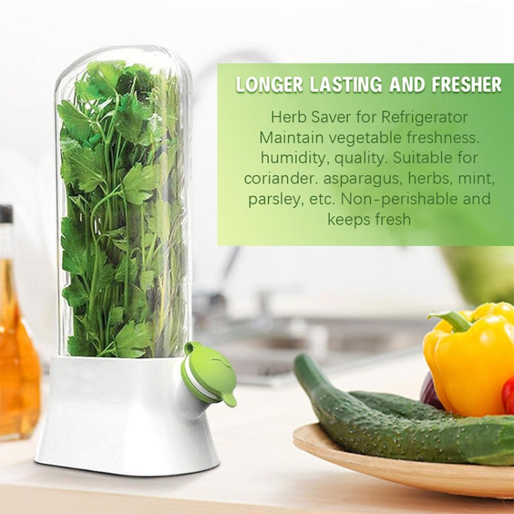 Creative Herb Crisper Cilantro Preservation Box Vegetable Keep Fresh Container