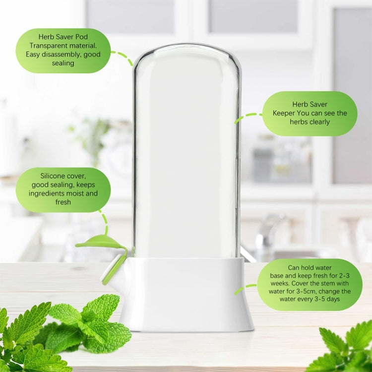 Creative Herb Crisper Cilantro Preservation Box Vegetable Keep Fresh Container