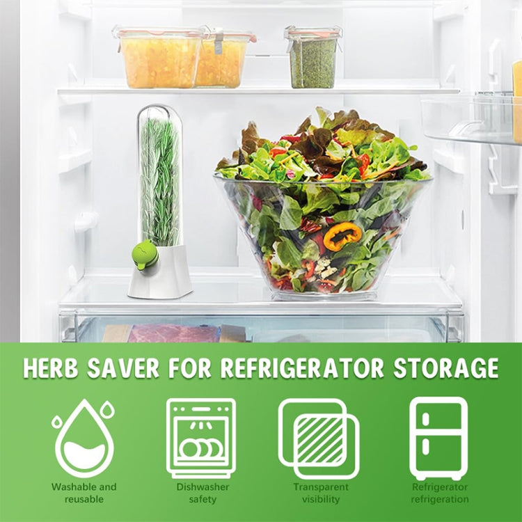 Creative Herb Crisper Cilantro Preservation Box Vegetable Keep Fresh Container