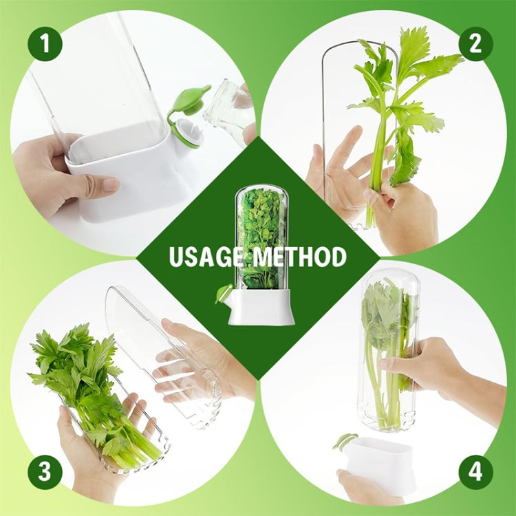 Creative Herb Crisper Cilantro Preservation Box Vegetable Keep Fresh Container