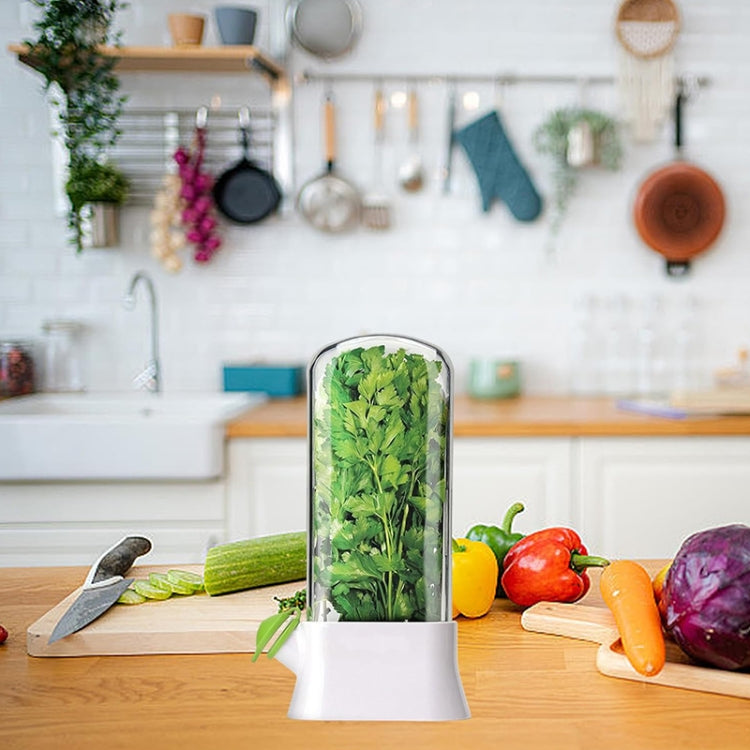 Creative Herb Crisper Cilantro Preservation Box Vegetable Keep Fresh Container