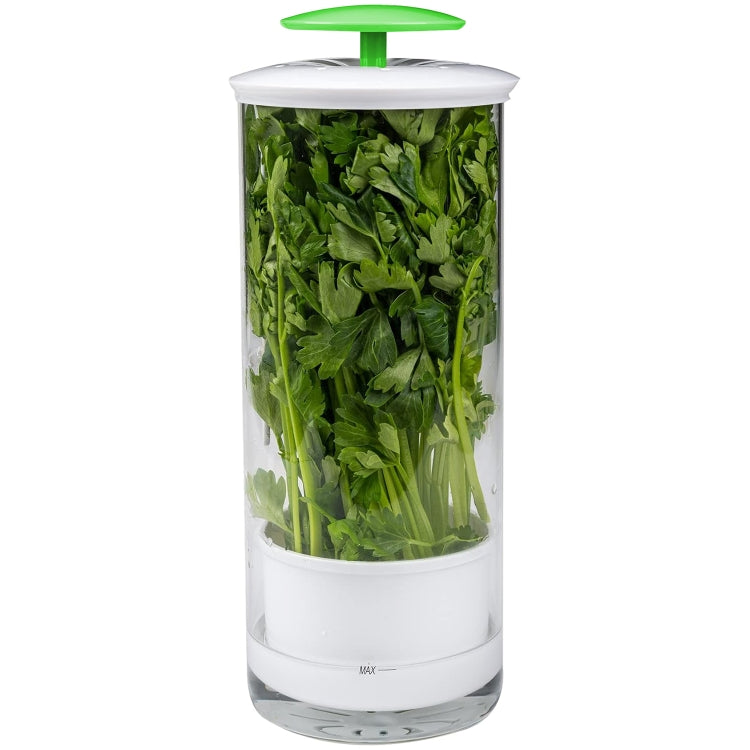 Herb Cilantro Preservation Storage Box Vegetable Keep Fresh Container