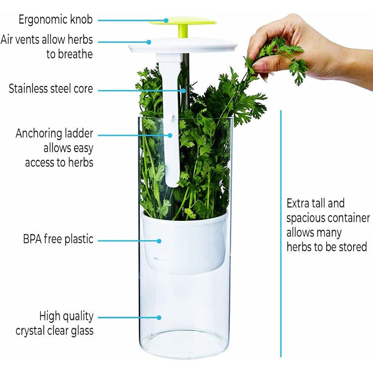 Herb Cilantro Preservation Storage Box Vegetable Keep Fresh Container