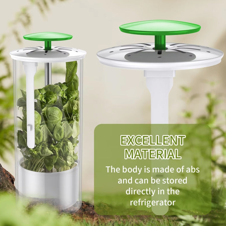 Herb Cilantro Preservation Storage Box Vegetable Keep Fresh Container