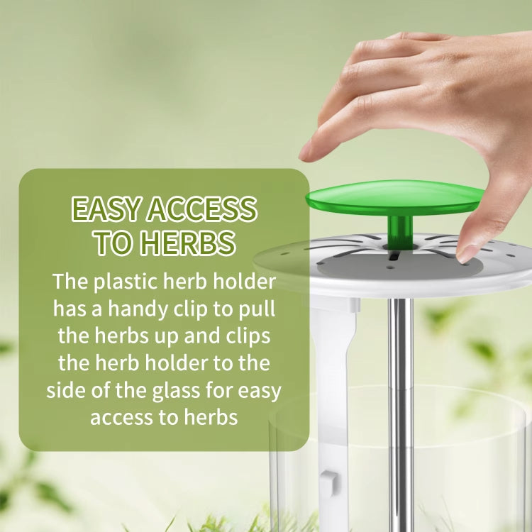 Herb Cilantro Preservation Storage Box Vegetable Keep Fresh Container