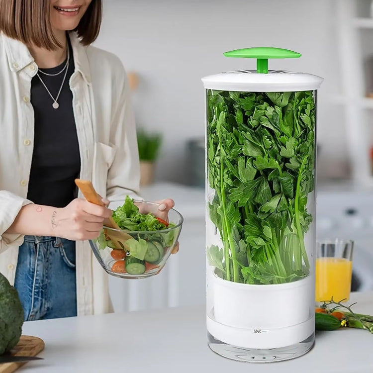 Herb Cilantro Preservation Storage Box Vegetable Keep Fresh Container