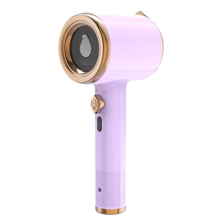 GT-01 33W Handheld Garment Steamer Electric Iron, AU Plug