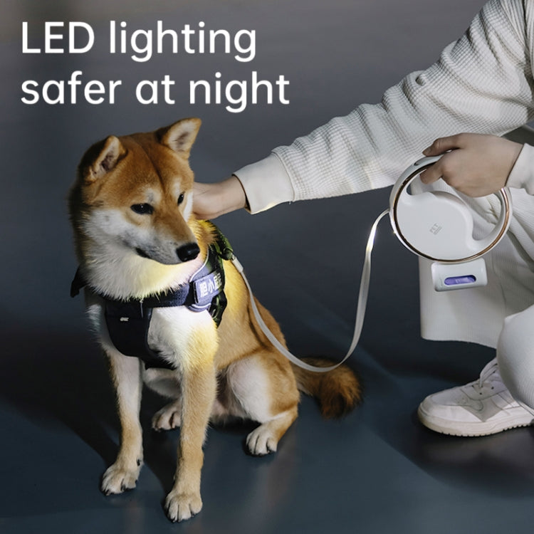 S62 Small and Medium Dog with Light Automatic Retractable Dog Leash, Length: 3m