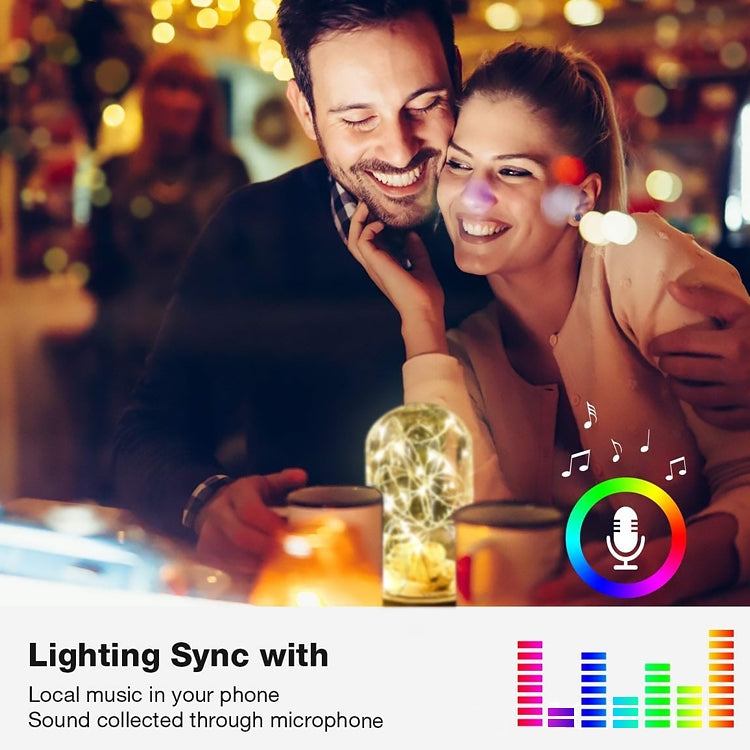 Christmas Decoration RGB Copper Wire String Light Bluetooth Mobile APP Control, Length: 20m 200 LEDs