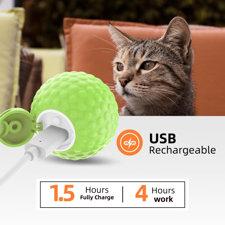 C1 Intelligent Auto Pet Toy Cat Training Luminous Ball, No Remote Control