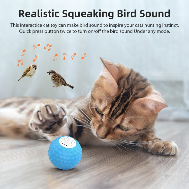 C1 Intelligent Remote Control Pet Toy Cat Training Luminous Ball