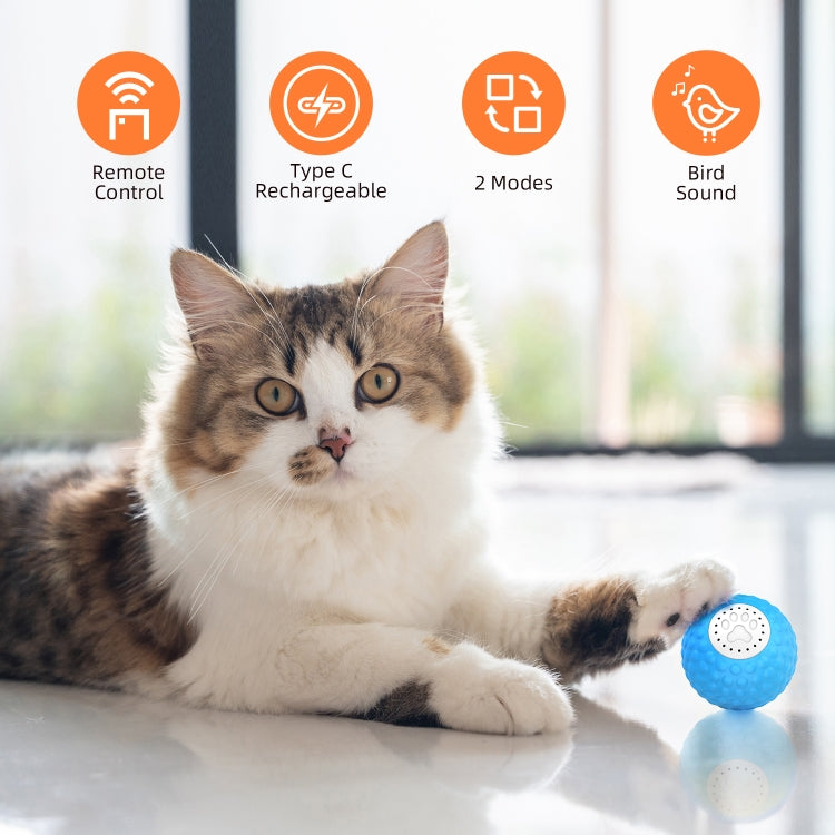 C1 Intelligent Remote Control Pet Toy Cat Training Luminous Ball
