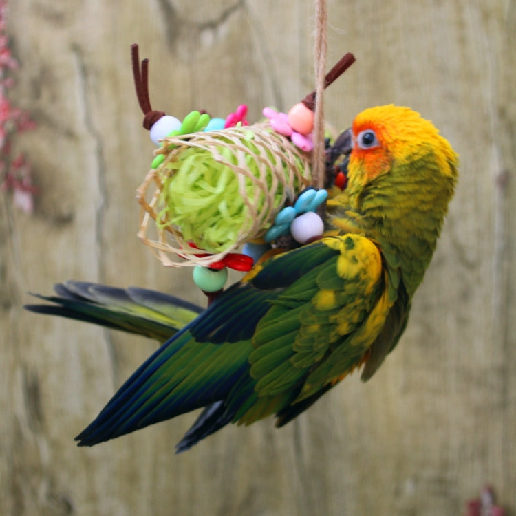 Creative Parrot Bird Bamboo Braided Bite Drawing Toy