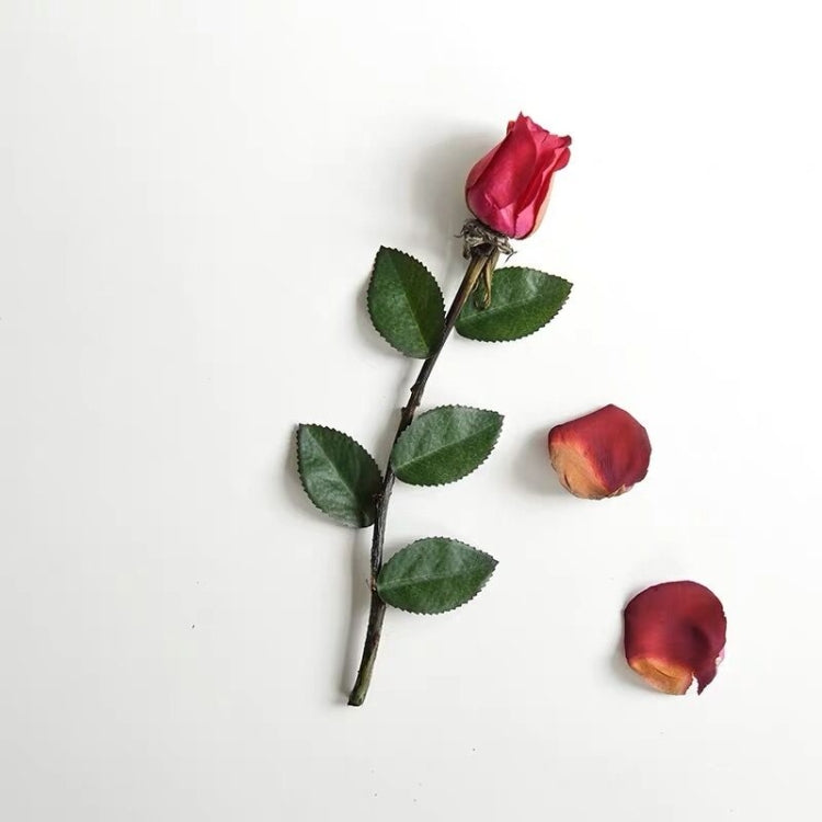 200 PCS Artificial Plant Simulation Monolithic Silk Cloth Rose Leaves Home Decoration