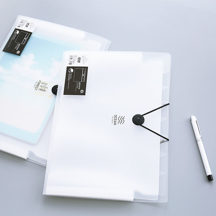 Multi-layer Buckle Matte Transparent Folder Information Booklet