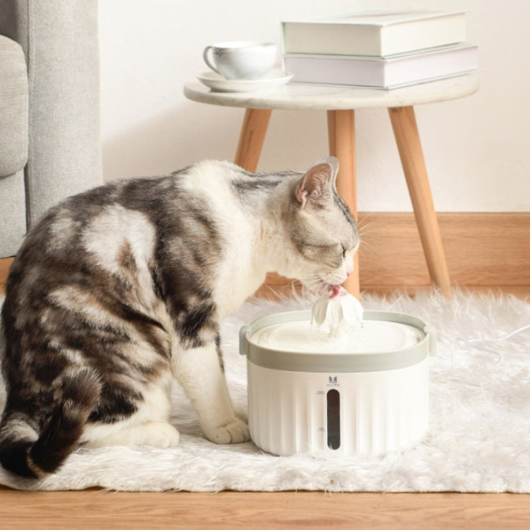Smart Pet Water Dispenser With Silent Automatic Circulation Pet Water Dispenser