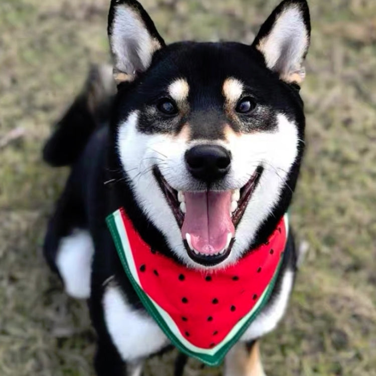 Watermelon Pattern Dog Scarf Three-layer Thick Waterproof Saliva Towel