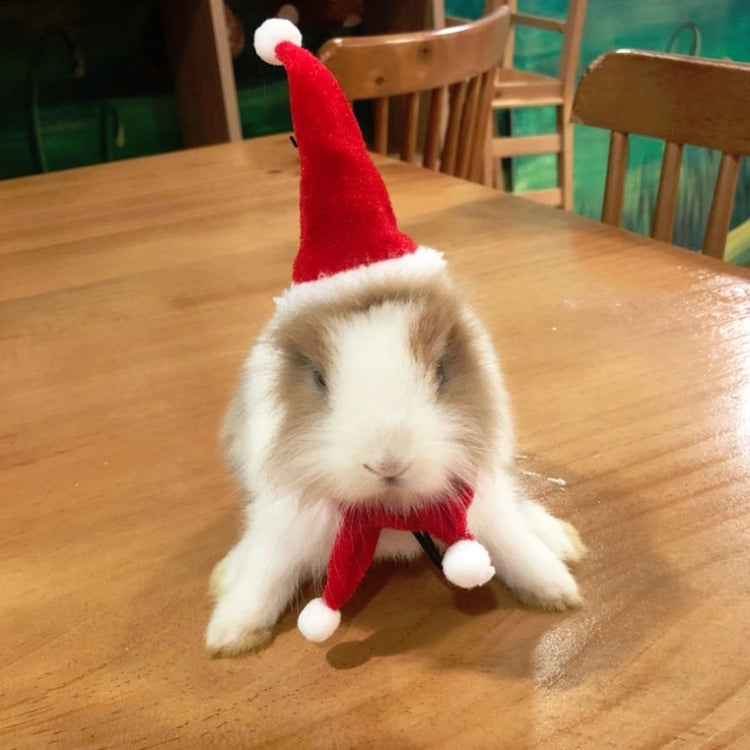 Lizard Crawling Pet Out Christmas Dress Up