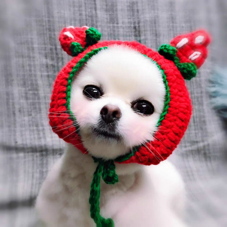 Cute Strawberry Headgear Handmade Knitted Hat Pet Accessories