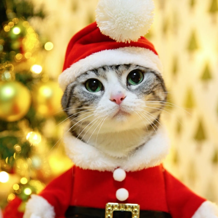 Pet Three-Dimensional Christmas Suit