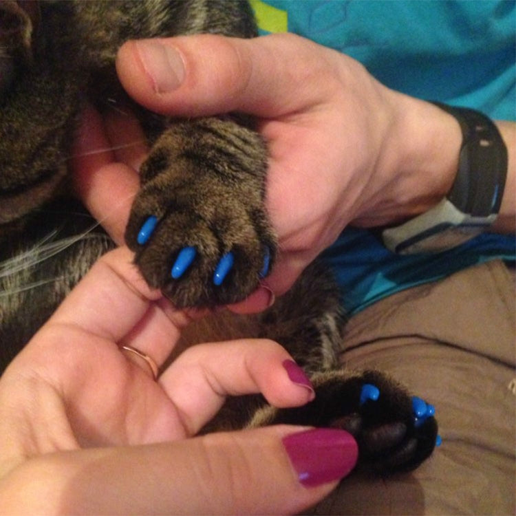 20 PCS Silicone Soft Cat Nail Caps / Cat Paw Claw / Pet Nail Protector/Cat Nail Cover, L