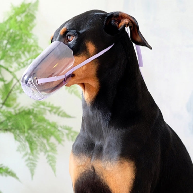 Pets Bathing Injection Anti-Bite Transparent Muzzle