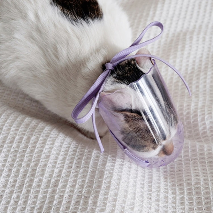 Pets Bathing Injection Anti-Bite Transparent Muzzle