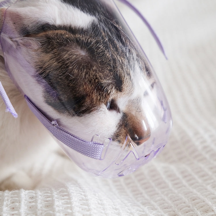 Pets Bathing Injection Anti-Bite Transparent Muzzle