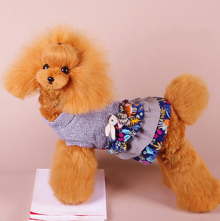 Autumn And Winter Pet Skirt Teddy Bichon Hiromi Schnauzer Yorkshire Small Dog Clothes