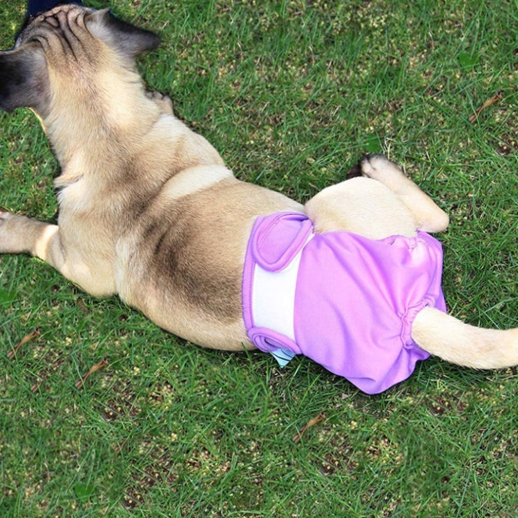Pet Physiological Pants Pet Waterproof Panties