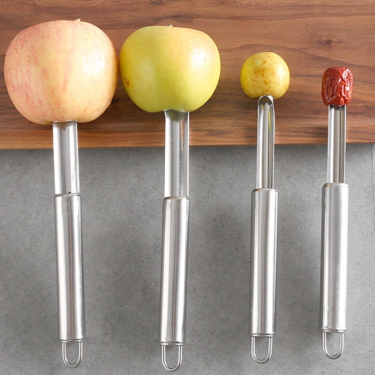 3 PCS Kitchen Stainless Steel Thickened Hawthorn And Red Dates Corer