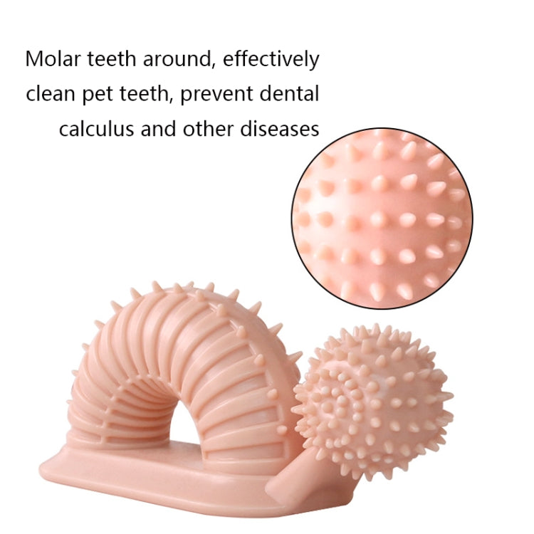 BG-5007 Pet Training Interactive Chewing Toy Toothbrush Bite Resistant Dog Chewing Molar Tooth Cleaning Stick