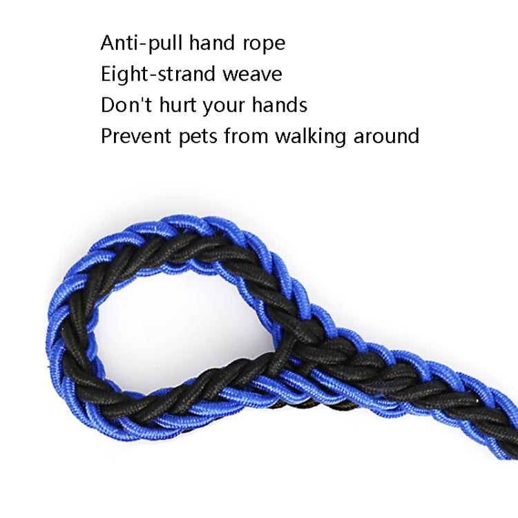 Dog Leash Braided Belt Pet Explosion-Proof Leash, Size: