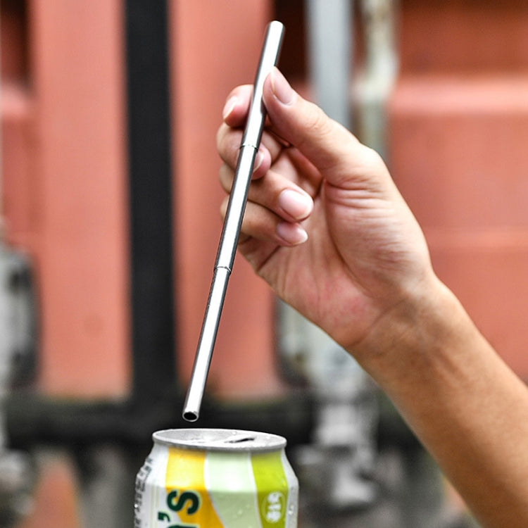Stainless Steel Portable Telescopic Straw
