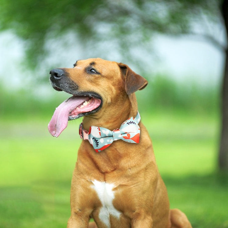 Rose Gold Buckle Pet Detachable Bow Collar, Size:
