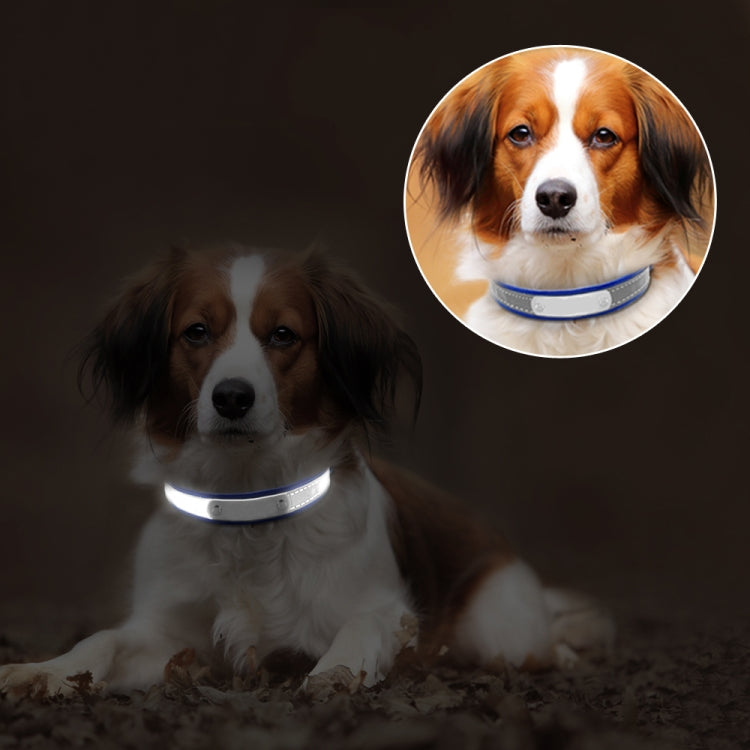 CL181K Pet Soft Reflecting Collar