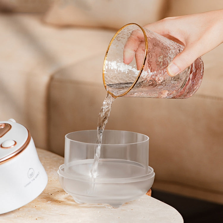 Icarerfamily F08 Cartoon Desktop Double Spray Humidifier with Night Light, Spec: