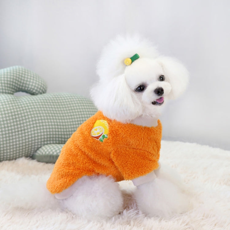 Dogs Keep Warm Two Feet Clothes Bipanda Cat Clothes