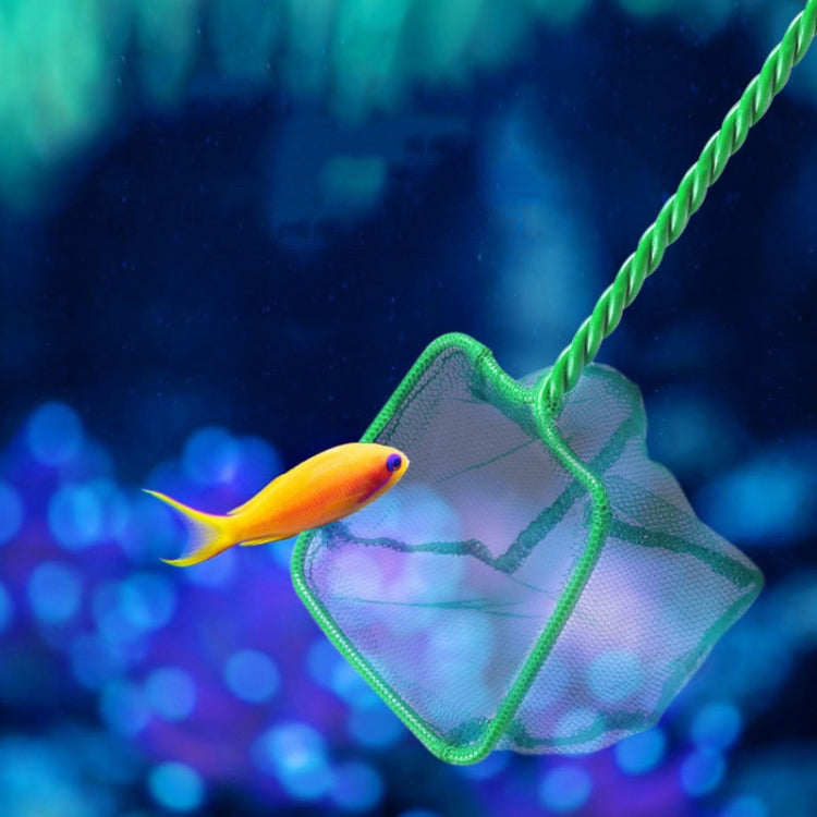 Fish Tank Fish Net Square Aquarium Squid Net